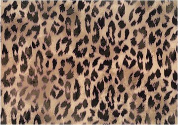 Fierce Cheetah